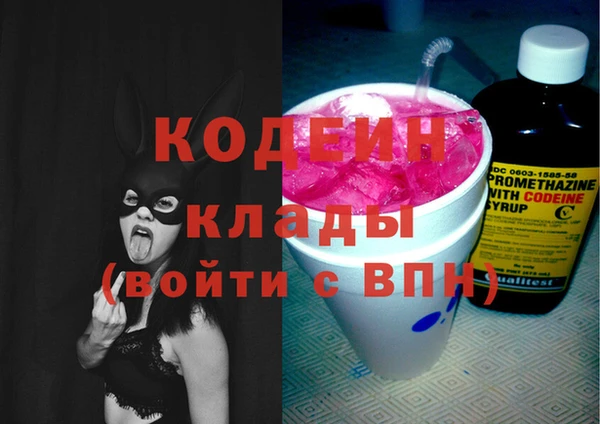 дурь Алексин
