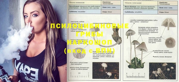 синтетический гашиш Осташков
